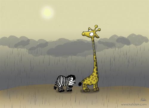 Cartoon: Different point of view (medium) by katelein tagged giraffe,zebra,africa,savannah,rain,sunshine