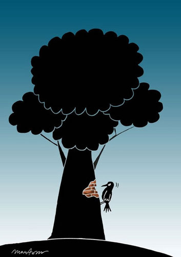 Cartoon: woodpeacker (medium) by Martono cartoon tagged cartoon