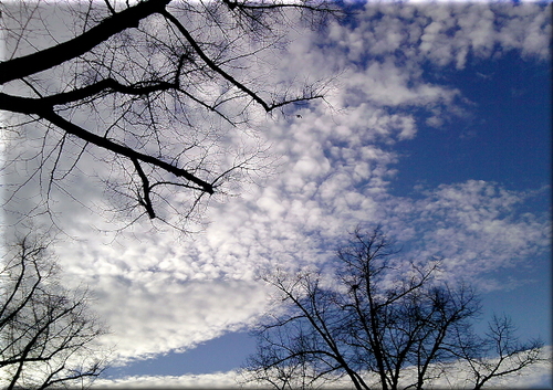 Cartoon: Oktoberwolken bei starkem Wind (medium) by lesemaus tagged oktober,wolken,wetter