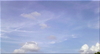Cartoon: Wolken ueber Baumwipfeln im Juli (small) by lesemaus tagged wolken,sommerwolken