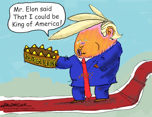 Cartoon: King of America (medium) by dbaldinger tagged trump,usa,trump,usa