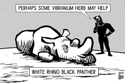 Cartoon: White rhino black panther (medium) by sinann tagged rhino,white,black,pnather,vibranium,herb,last