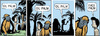 Cartoon: Oil palm face palm (small) by sinann tagged orangutan,oil,palm,face