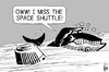 Cartoon: SpaceX Dragon (small) by sinann tagged spacex,dragon,splashdown,whale