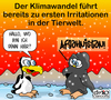 Cartoon: Irritation (small) by MiO tagged afghanistan mio burka klimawandel pinguin