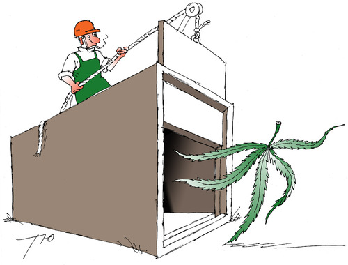 Cartoon: Cannabis (medium) by tunin-s tagged cannabis