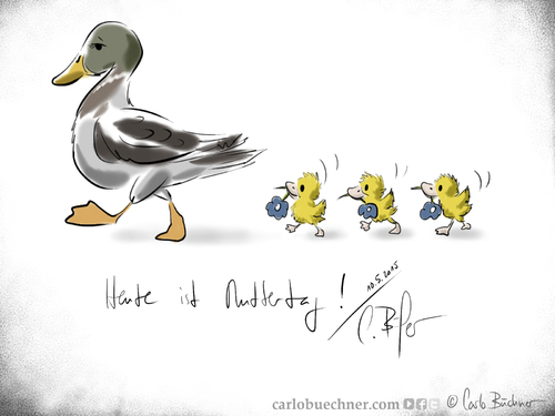 Cartoon: Muttertag 2015 (medium) by Carlo Büchner tagged mutter,muttertag,mama,momsday,2015,mai,may,mom,mum,ente,duck,chick,küken,flowers,blumen,feiern,danke,liebe,love