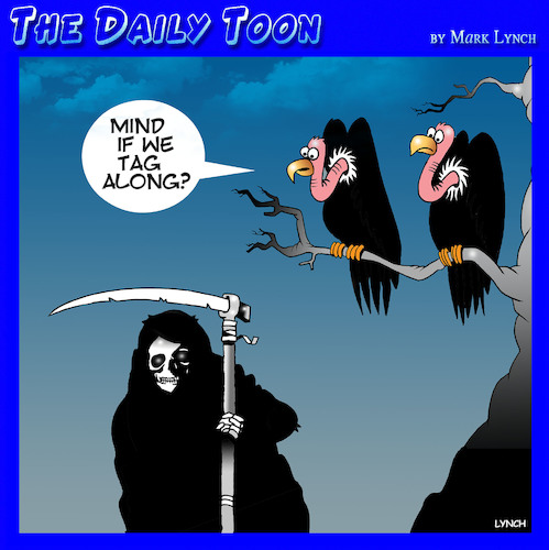 Cartoon: Angel of death (medium) by toons tagged vultures,angel,of,death,grim,reaper,vultures,angel,of,death,grim,reaper