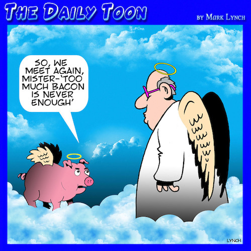 Cartoon: Bacon (medium) by toons tagged pigs,bacon,afterlife,angels,pigs,bacon,afterlife,angels