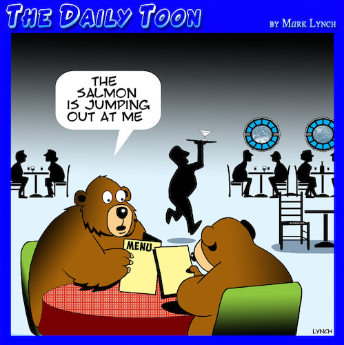 Cartoon: Bears and salmon (medium) by toons tagged bears,salmon,dining,out,restaurants,bears,salmon,dining,out,restaurants