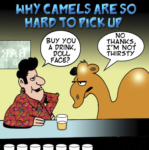 Cartoon: buy you a drink (medium) by toons tagged animals,dating,camels,animal,dating,camel,drink,thirsty,bar,man