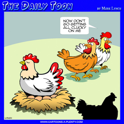 Cartoon: Clucky (medium) by toons tagged chooks,chickens,eggs,clucky,birth,chooks,chickens,eggs,clucky,birth