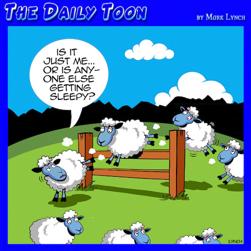 Cartoon: Counting sheep (medium) by toons tagged insomnia,count,sheep,to,sleep,insomnia,count,sheep,to,sleep