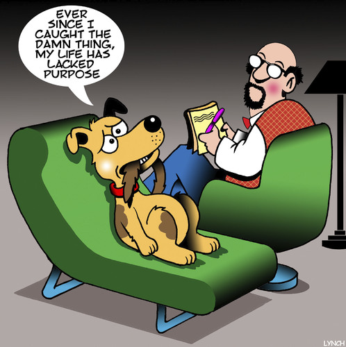 Cartoon: Dog chasing tail (medium) by toons tagged dogs,psychiatrist,chasing,your,tail,talking,dog,life,lacks,purpose,dogs,psychiatrist,chasing,your,tail,talking,dog,life,lacks,purpose