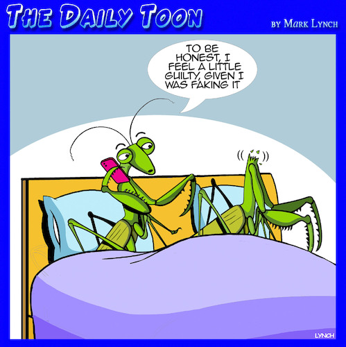 Cartoon: Fake orgasm (medium) by toons tagged praying,mantis,praying,mantis