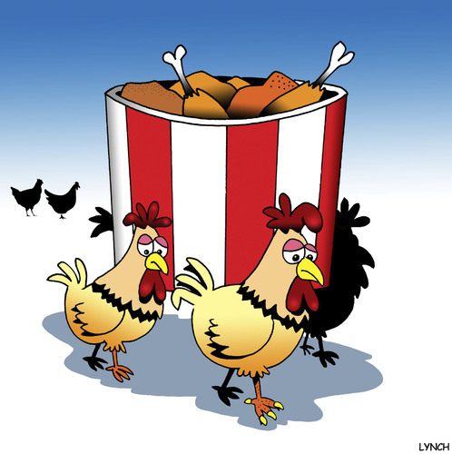 Cartoon: Funeral for a friend (medium) by toons tagged fried,chicken,funerals,kentucky,chooks,hens,bucket,of,farm,animals,take,away,food,fast,junk,fried,chicken,funerals,kentucky,chooks,hens,bucket,of,farm,animals,take,away,food,fast,junk