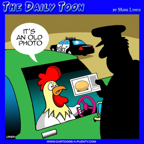 Cartoon: Highway patrol (medium) by toons tagged chickens,licence,id,identification,papers,photo,roosters,chickens,licence,id,identification,papers,photo,roosters