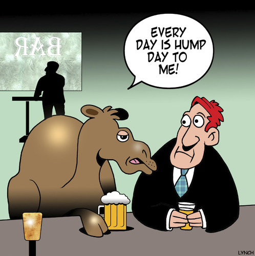 Cartoon: Hump day (medium) by toons tagged camels,hump,day,middle,of,the,week,beer,camels,hump,day,middle,of,the,week,beer