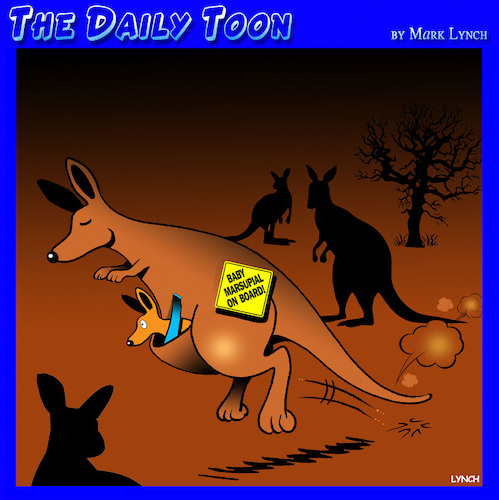 Cartoon: Marsupial (medium) by toons tagged baby,on,board,kangaroos,kangaroo,seatbelts,warning,sign,baby,on,board,kangaroos,kangaroo,seatbelts,warning,sign