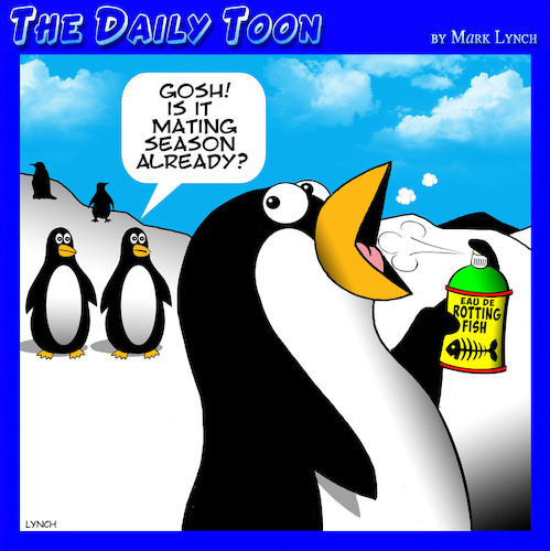 Cartoon: Mating season (medium) by toons tagged penguins,mating,mouthwash,perfume,fish,penguins,mating,mouthwash,perfume,fish