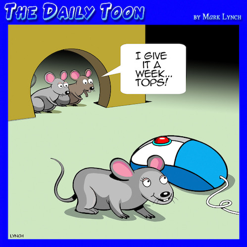 Cartoon: Mouse love (medium) by toons tagged computer,mouse,mice,true,love,one,night,stand,computer,mouse,mice,true,love,one,night,stand