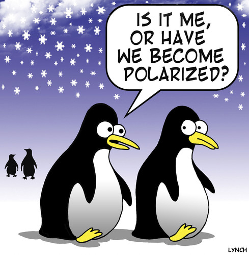 Cartoon: polarized (medium) by toons tagged penguins,polar,global,warming