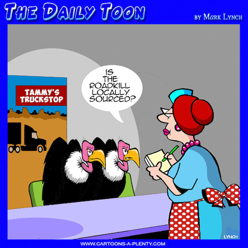 Cartoon: Roadkill (medium) by toons tagged vultures,roadkill,carrion,locally,sourced,food,vultures,roadkill,carrion,locally,sourced,food