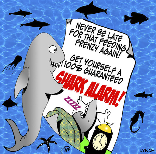 Cartoon: Shark Alarm (medium) by toons tagged alarm,shark,oceans,fish,sharks,feeding,clock,clocks,frenzy