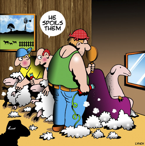 Cartoon: Spoilt (medium) by toons tagged sheep,shearing,spoilt,haircur,barber,hairdresser,farming,lamb,sheep,shearing,spoilt,haircur,barber,hairdresser,farming,lamb