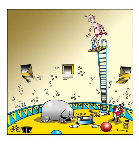 Cartoon: the circus diver (medium) by toons tagged circus,ringmaster,elephants,clowns,divers,high,wire