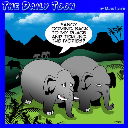 Cartoon: Tickle the ivories (medium) by toons tagged elephant,tusks,piano,playing,elephants,pick,up,lines,elephant,tusks,piano,playing,elephants,pick,up,lines