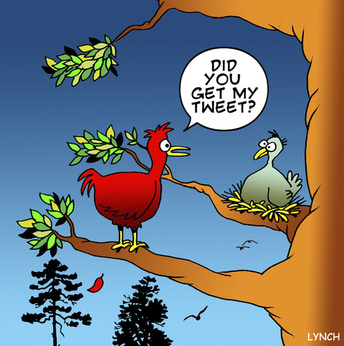 Cartoon: Tweet (medium) by toons tagged twitter,tweeting,social,networking,facebook,communication,broadband,mobile,phone,birds,animals,relationships