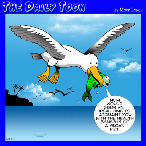 Cartoon: Vegan diet (medium) by toons tagged seagulls,vegetarians,vegan,healthy,diet,fish,seagulls,vegetarians,vegan,healthy,diet,fish