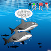 Cartoon: Buffet (small) by toons tagged sharks,feeding,frenzy,buffet,fish,swimmers,shark,attack,animals,oceans