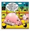 Cartoon: piggies (small) by toons tagged pigs,piglets,babies,farms,pregnancy,animals,swine