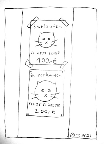 Cartoon: Entlaufen (medium) by Müller tagged katze,entlaufen,zu,verkaufen