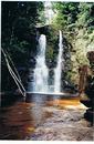 Cartoon: Quebrada de Jaspe - Kaku Paru (small) by RnRicco tagged waterfall,water,djungls,venezuela,national,park,ricco