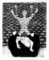 Cartoon: 1980 (small) by necmi oguzer tagged menschen,recht,human,rights,folter,torture,demokratie