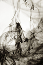 Cartoon: Dancing With a Veil (small) by BenHeine tagged ink water dancing with veil abstraction benheine encre diffusion sepia tones abstracted minimalist unexpected grace photography art movement dynamism paint black matter