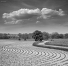 Cartoon: Symphony (small) by BenHeine tagged lessive,rochefort,belgium,ben,heine,photography,art,cloud,natire,landscape,artistery,samsung,nx10,composition,tree,symphony,music,elements,curves,courbes