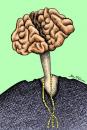 Cartoon: The Brain is the weight of God (small) by BenHeine tagged brain cross hatching pullover woman think biology cervella biology necklace volutes pink intelligence clever stupid neck caricature self woman man path way profile ben heine 