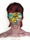 Cartoon: David Bowie! (small) by willemrasingart tagged rockstars