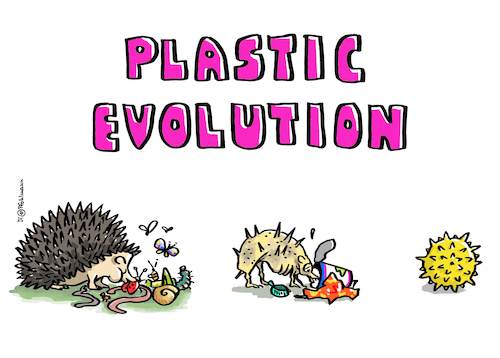 Cartoon: Plastic Evolution (medium) by Pfohlmann tagged plastik,müll,umwelt,nanoplastik,natur,igel,wildtiere,igelball,artensterben,kunststoffe,verpackungen,verpackungsmüll,nahrungskette,plastik,müll,umwelt,nanoplastik,natur,igel,wildtiere,igelball,artensterben,kunststoffe,verpackungen,verpackungsmüll,nahrungskette