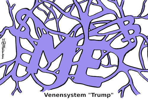 Venensystem