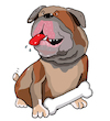 Cartoon: mopps bulldogge (small) by sabine voigt tagged mopps,bulldogge,hund,kampfhund,hundefutter,tier,rapper