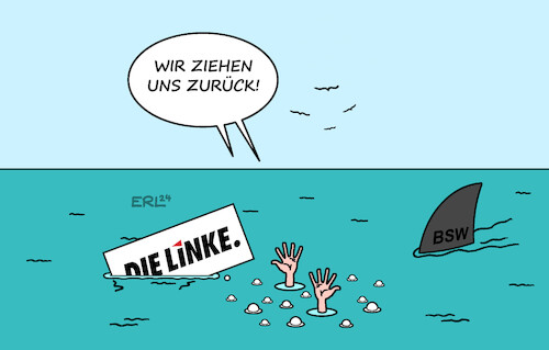 Die Linke