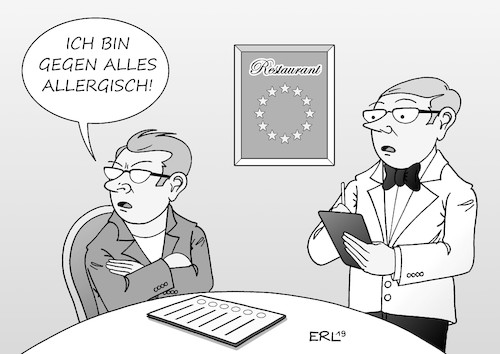 Europawähler Europawähler