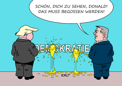 Orban trifft Trump