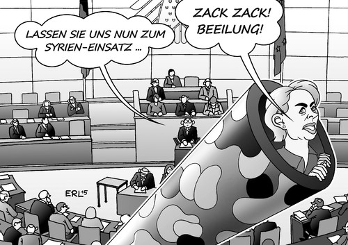 Syrien-Einsatz Syrien-Einsatz