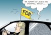 Cartoon: Endspiel (small) by Erl tagged fdp,chef,westerwelle,kritik,chance,ultimatum,endspiel,flagge,auto